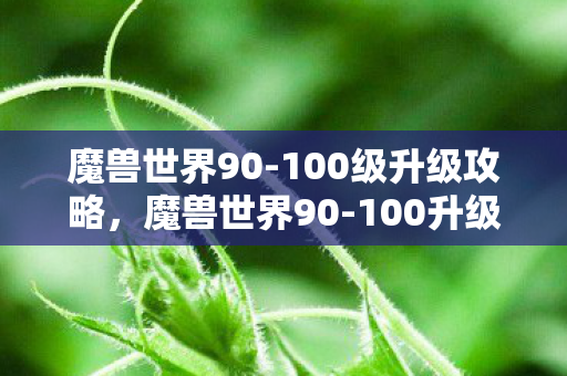 魔兽世界90-100级升级攻略，魔兽世界90-100升级攻略，高效、安全、快速升级指南