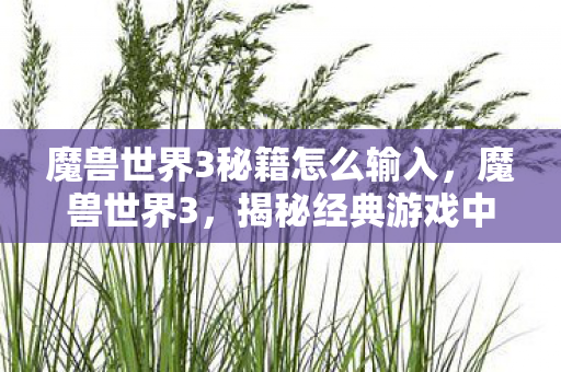 魔兽世界3秘籍怎么输入，魔兽世界3，揭秘经典游戏中的神秘秘籍