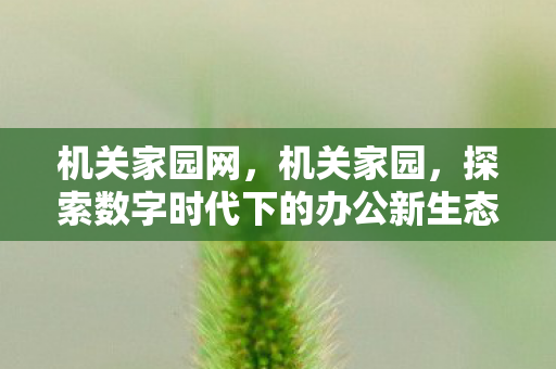 机关家园网，机关家园，探索数字时代下的办公新生态