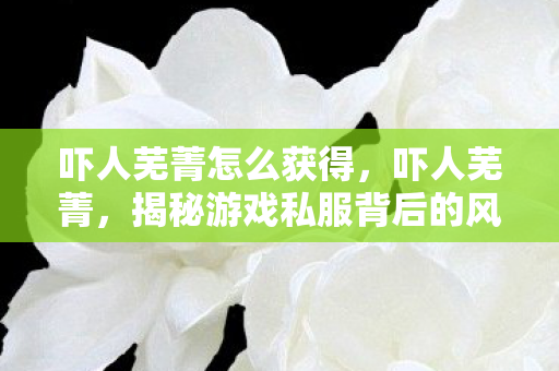 吓人芜菁怎么获得，吓人芜菁，揭秘游戏私服背后的风险与隐患
