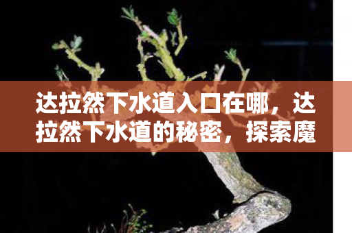 达拉然下水道入口在哪，达拉然下水道的秘密，探索魔兽世界的隐秘角落