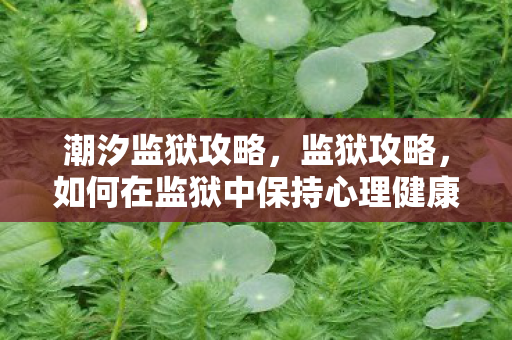 潮汐监狱攻略，监狱攻略，如何在监狱中保持心理健康与生存技巧