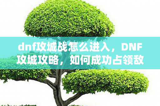 dnf攻城战怎么进入，DNF攻城攻略，如何成功占领敌方城池