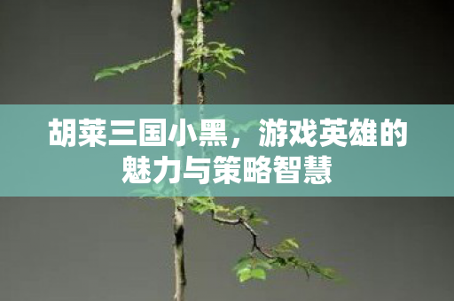 胡莱三国小黑，游戏英雄的魅力与策略智慧