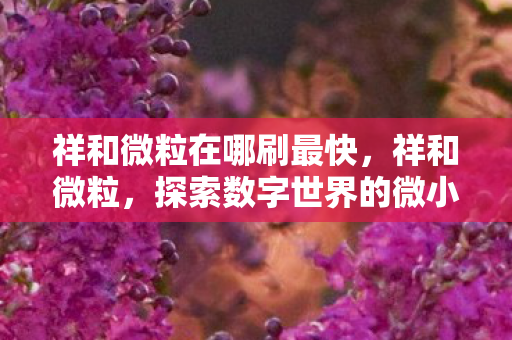 祥和微粒在哪刷最快，祥和微粒，探索数字世界的微小奇迹