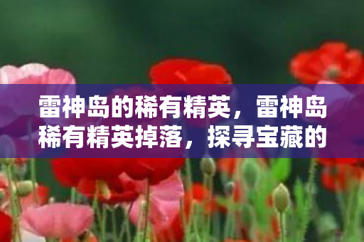 雷神岛的稀有精英，雷神岛稀有精英掉落，探寻宝藏的奥秘