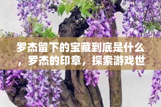 罗杰留下的宝藏到底是什么，罗杰的印章，探索游戏世界的独特魅力