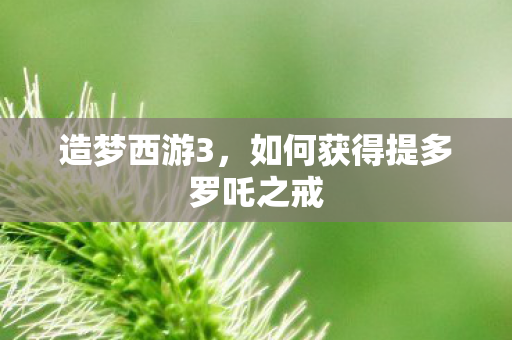 造梦西游3，如何获得提多罗吒之戒