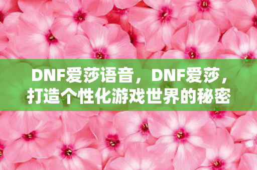 DNF爱莎语音，DNF爱莎，打造个性化游戏世界的秘密