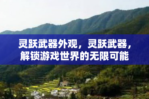 灵跃武器外观，灵跃武器，解锁游戏世界的无限可能