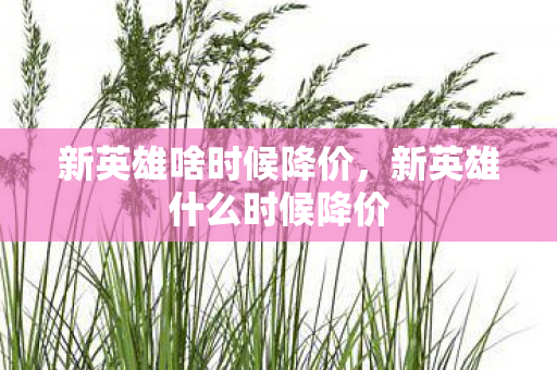 新英雄啥时候降价，新英雄什么时候降价