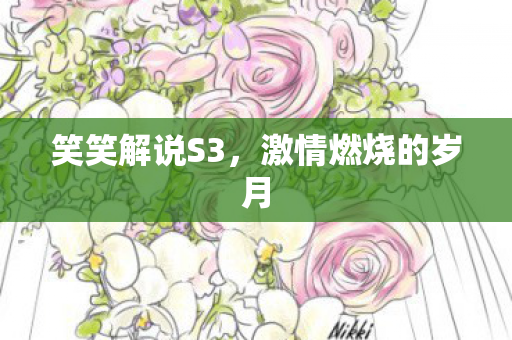 笑笑解说S3，激情燃烧的岁月