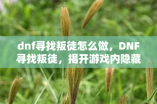 dnf寻找叛徒怎么做，DNF寻找叛徒，揭开游戏内隐藏的背叛者