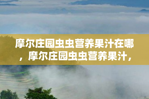 摩尔庄园虫虫营养果汁在哪，摩尔庄园虫虫营养果汁，探索庄园的奇妙饮品