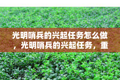 光明哨兵的兴起任务怎么做，光明哨兵的兴起任务，重塑联盟的希望之光