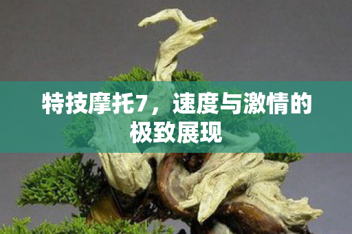 特技摩托7,速度与激情的极致展现 特技摩托7,速度与激情的极致展现