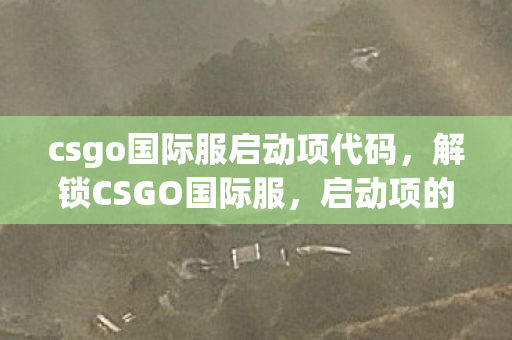 csgo国际服启动项代码，解锁CSGO国际服，启动项的秘密与优化技巧
