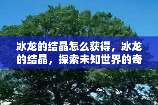 冰龙的结晶怎么获得,冰龙的结晶,探索未知世界的奇幻之旅 冰龙的结晶怎么获得,冰龙的结晶,探索未知世界的奇幻之旅