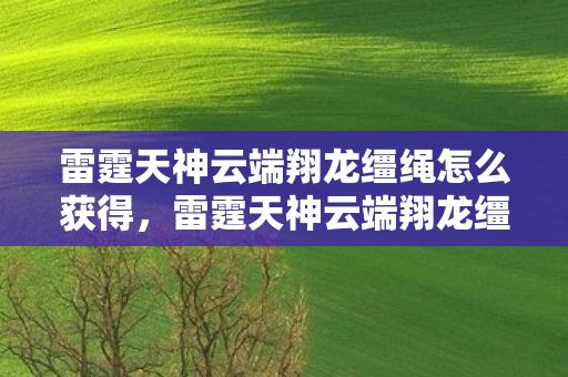 雷霆天神云端翔龙缰绳怎么获得，雷霆天神云端翔龙缰绳，探索游戏世界的传奇象征