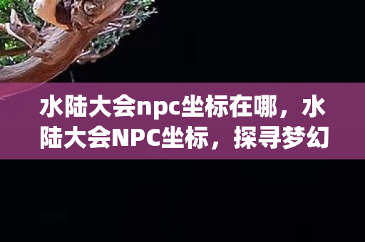 水陆大会npc坐标在哪，水陆大会NPC坐标，探寻梦幻西游的古老传说