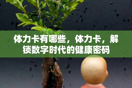体力卡有哪些,体力卡,解锁数字时代的健康密码 体力卡有哪些,体力卡,解锁数字时代的健康密码