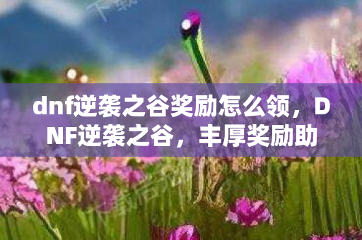 dnf逆袭之谷奖励怎么领,DNF逆袭之谷,丰厚奖励助力玩家逆袭 dnf逆袭之谷奖励怎么领,DNF逆袭之谷,丰厚奖励助力玩家逆袭