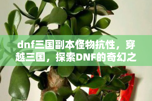 dnf三国副本怪物抗性，穿越三国，探索DNF的奇幻之旅