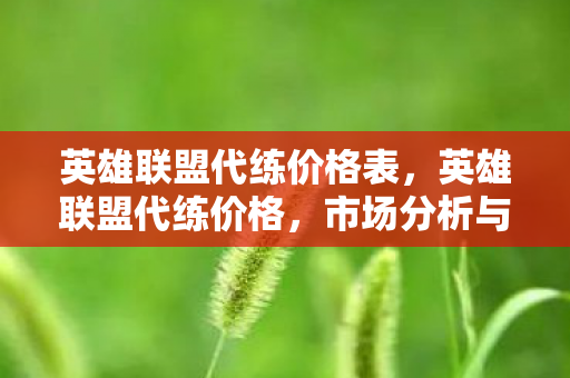 英雄联盟代练价格表，英雄联盟代练价格，市场分析与合理消费指南