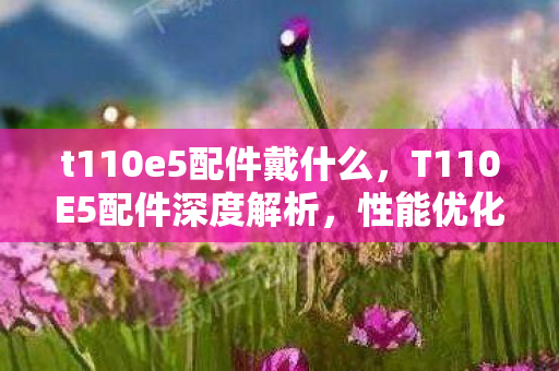t110e5配件戴什么,T110E5配件深度解析,性能优化与升级指南 t110e5配件戴什么,T110E5配件深度解析,性能优化与升级指南