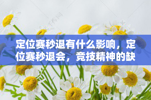 定位赛秒退有什么影响,定位赛秒退会,竞技精神的缺失与反思 定位赛秒退有什么影响,定位赛秒退会,竞技精神的缺失与反思