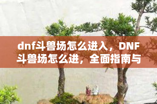 dnf斗兽场怎么进入，DNF斗兽场怎么进，全面指南与策略分享
