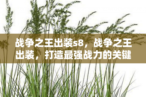 战争之王出装s8,战争之王出装,打造最强战力的关键 战争之王出装s8,战争之王出装,打造最强战力的关键