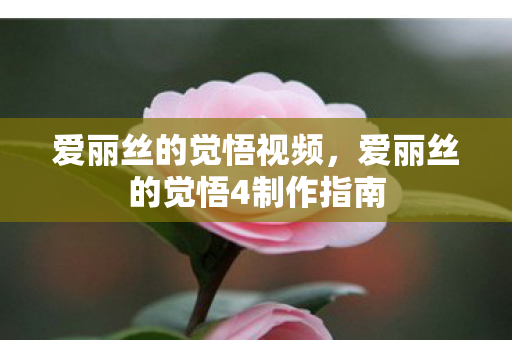 爱丽丝的觉悟视频，爱丽丝的觉悟4制作指南