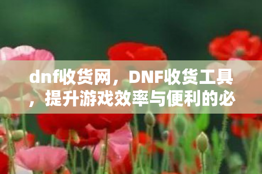 dnf收货网，DNF收货工具，提升游戏效率与便利的必备神器