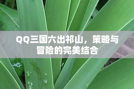 QQ三国六出祁山，策略与冒险的完美结合