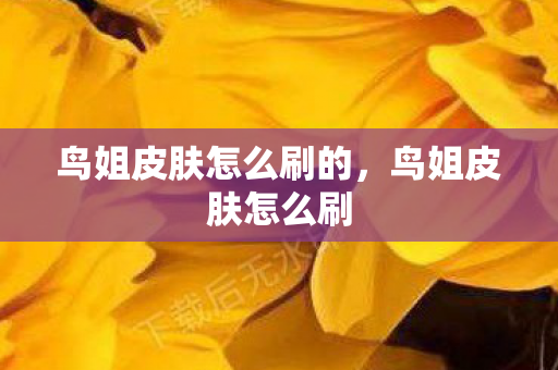 鸟姐皮肤怎么刷的，鸟姐皮肤怎么刷