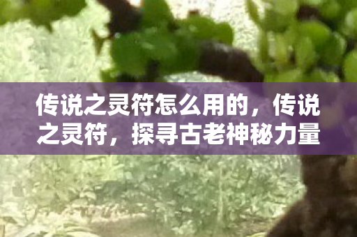 传说之灵符怎么用的,传说之灵符,探寻古老神秘力量的传承 传说之灵符怎么用的,传说之灵符,探寻古老神秘力量的传承