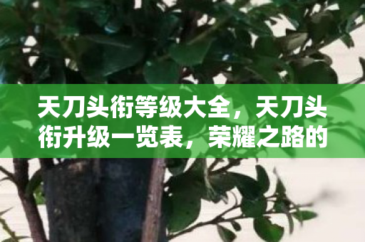 天刀头衔等级大全,天刀头衔升级一览表,荣耀之路的璀璨篇章 天刀头衔等级大全,天刀头衔升级一览表,荣耀之路的璀璨篇章