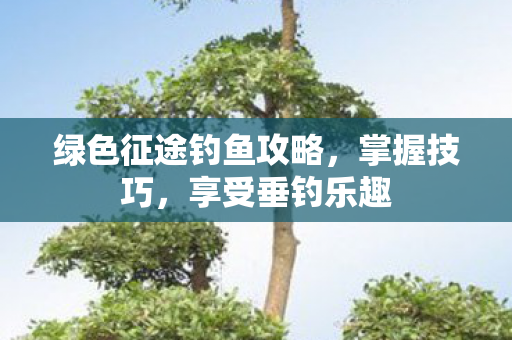 绿色征途钓鱼攻略，掌握技巧，享受垂钓乐趣