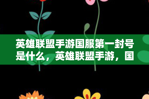 英雄联盟手游国服第一封号是什么，英雄联盟手游，国服第一封号背后的故事