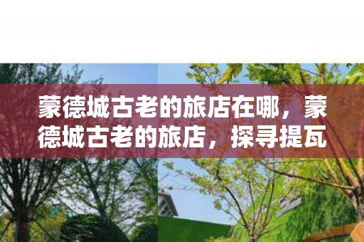 蒙德城古老的旅店在哪，蒙德城古老的旅店，探寻提瓦特大陆的温馨角落