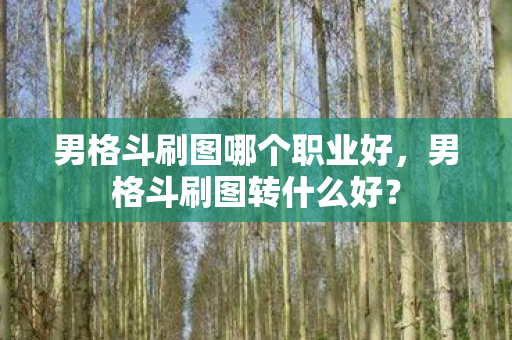 男格斗刷图哪个职业好，男格斗刷图转什么好？