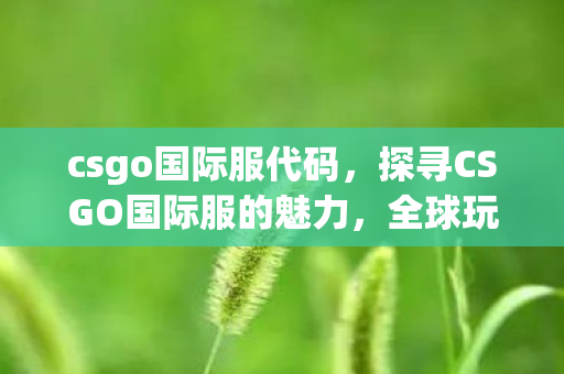 csgo国际服代码,探寻CSGO国际服的魅力,全球玩家竞技的舞台 csgo国际服代码,探寻CSGO国际服的魅力,全球玩家竞技的舞台