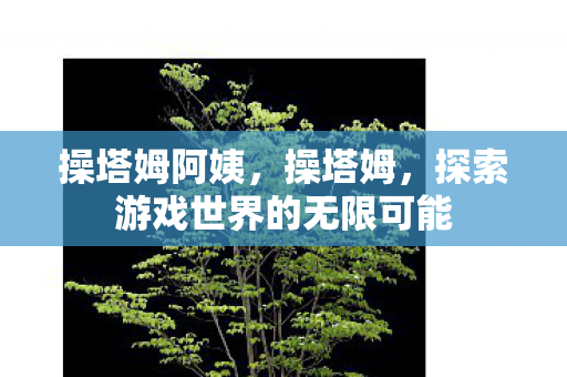 操塔姆阿姨，操塔姆，探索游戏世界的无限可能