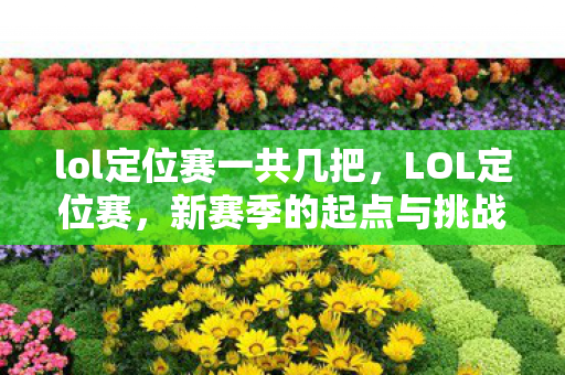 lol定位赛一共几把，LOL定位赛，新赛季的起点与挑战