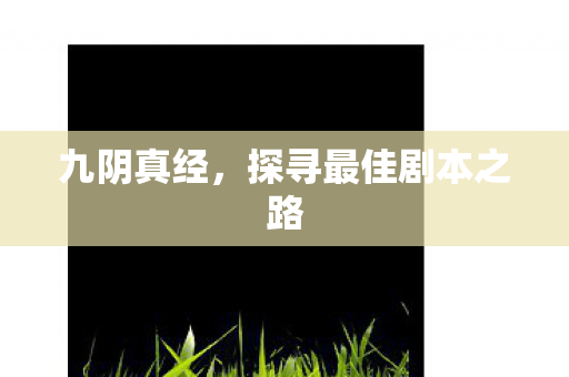 九阴真经，探寻最佳剧本之路