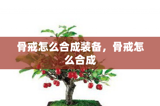 骨戒怎么合成装备，骨戒怎么合成