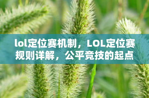 lol定位赛机制，LOL定位赛规则详解，公平竞技的起点