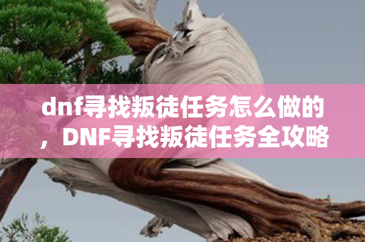 dnf寻找叛徒任务怎么做的，DNF寻找叛徒任务全攻略，如何高效完成