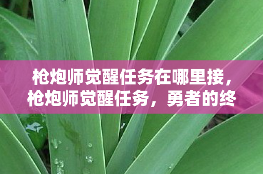 枪炮师觉醒任务在哪里接，枪炮师觉醒任务，勇者的终极试炼